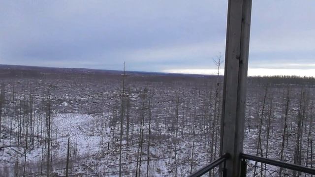 Природный резерват Hälleskogsbrännan, Швеция. смотреть онлайн