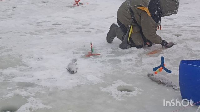 Сегодня не скучно смотреть онлайн