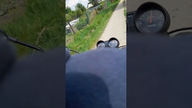 ВТОРАЯ СУЕТА НА АЛЬФЕ смотреть онлайн