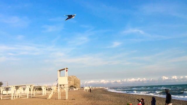 Запускаем воздушного змея 🐍 / Flying a kite 🐍 смотреть онлайн