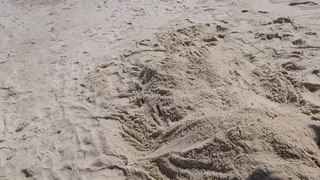 Orange Beach Vlog - LuLu's, Gulf State Park Pier, Lambert's Cafe смотреть онлайн
