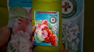 Разведение и использование Фитоспарина