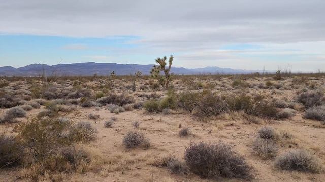 SOLD -1.03 Acres - Mohave County, AZ - APN 245-24-180A смотреть онлайн