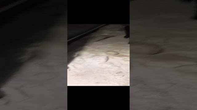 типичное лето в Москве смотреть онлайн