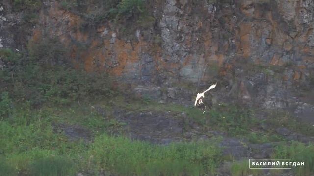 Природный парк Ергаки