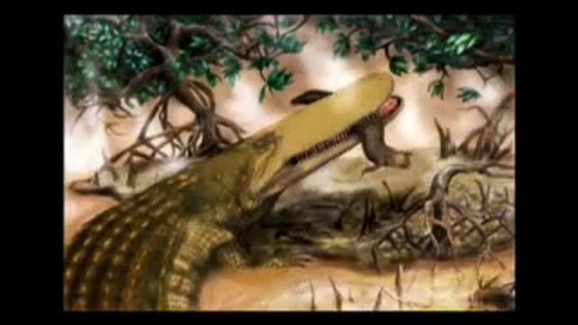 New species of ancient crocodile discovered смотреть онлайн