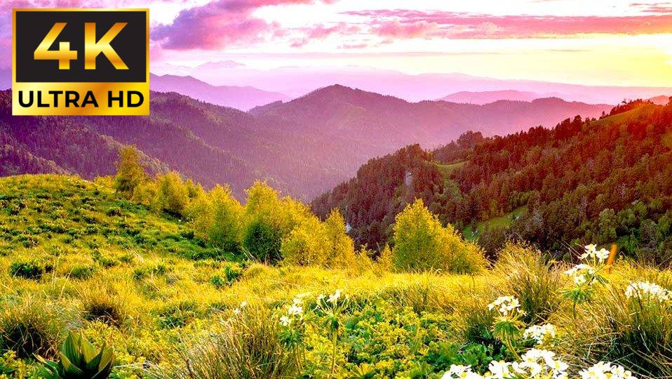 ПОТРЯСАЮЩИЕ ВИДЕО В 4К КАЧЕСТВЕ смотреть онлайн