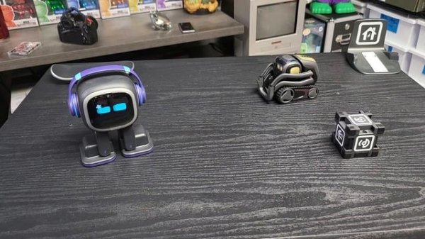 Vector 2.0 DDL & LivingAi Emo Pet Robot (914 error code)