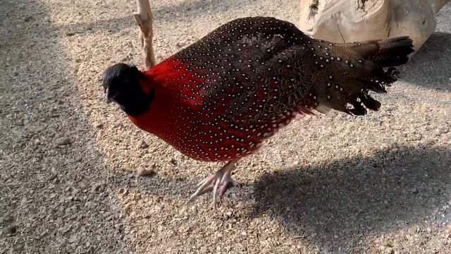 14 марта 2021 г. смотреть онлайн