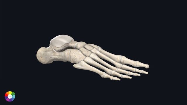 1-1_1 смотреть онлайн