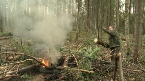 д/ф "Леса России. Точка невозврата" 39 мин.