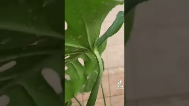 перестановка на столе смотреть онлайн