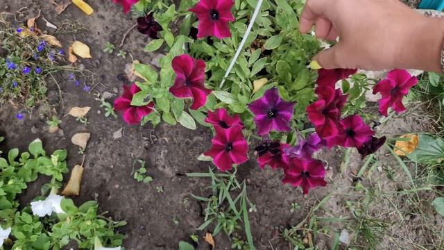 первый день на КЕТО, я собой довольна
