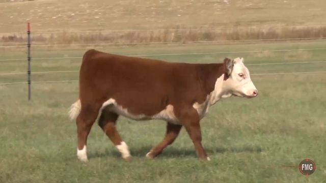 Fawcett's Elm Creek Ranch Tag 2 смотреть онлайн