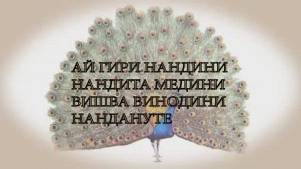 40🟥-Ai giri nandini