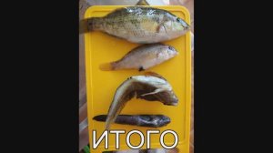 Гарпун для подводной охоты на скорую руку