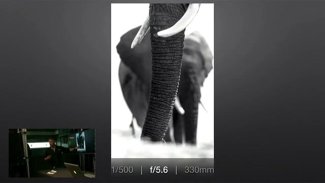 Adorama Presentation: Technically Creative Wildlife Photography смотреть онлайн