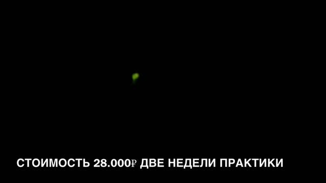14-12-2024 Как работает педаль аппарата Аврора и Сварог? смотреть онлайн