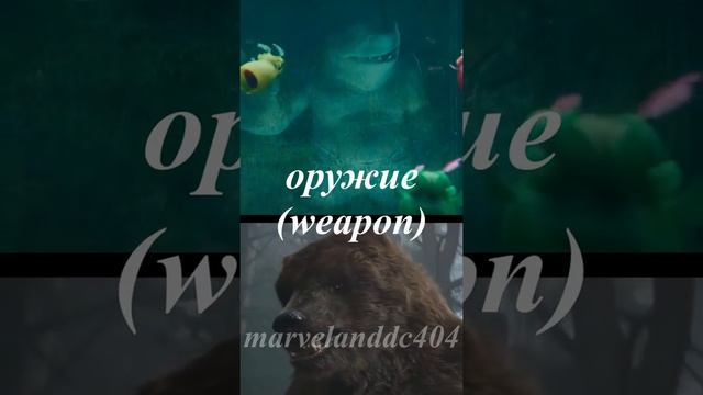 Король Акул Vs Арсус