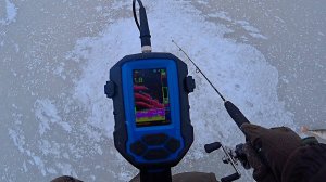 КАК ВЫГЛЯДИТ ОКУНЬ НА БАЛАНСИР В ЭХОЛОТЕ ПРАКТИК 8. ОКУНЬ НА БАЛАНСИР. Рыбалка зимой