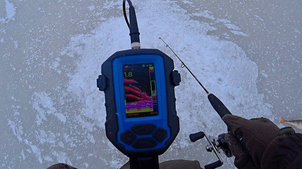 КАК ВЫГЛЯДИТ ОКУНЬ НА БАЛАНСИР В ЭХОЛОТЕ ПРАКТИК 8. ОКУНЬ НА БАЛАНСИР. Рыбалка зимой