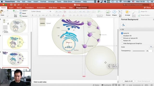 Draw Endocytosis in Powerpoint | Cell membrane | Scientific Illustration | Graphical Abstract смотреть онлайн
