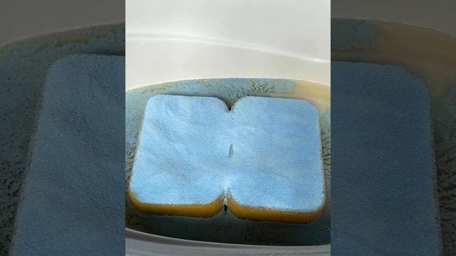 ASMR - Squeezes Sponges (Compilation) 🧽🧽