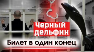 Черный дельфин | ИК-6