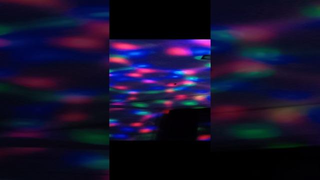 VID_20241214_201541.mp4