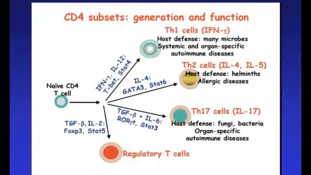 Asthma Pathogenesis (Rosenwasser) смотреть онлайн