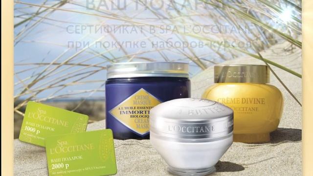 иммортель 6