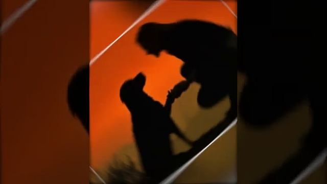 А ты меня не сравнивай ни с кем... смотреть онлайн