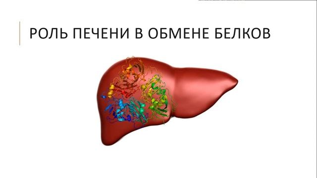 Тема 15. Абдураманов Рудет. Группа Л1-с-о-186В. Преподаватель асс. Киселев В.М.