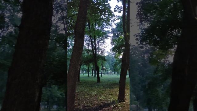 Вечерние трели соловья - это релакс для души. Прогулка в парке Люберец. Подмосковье. 26.05.2023 смотреть онлайн
