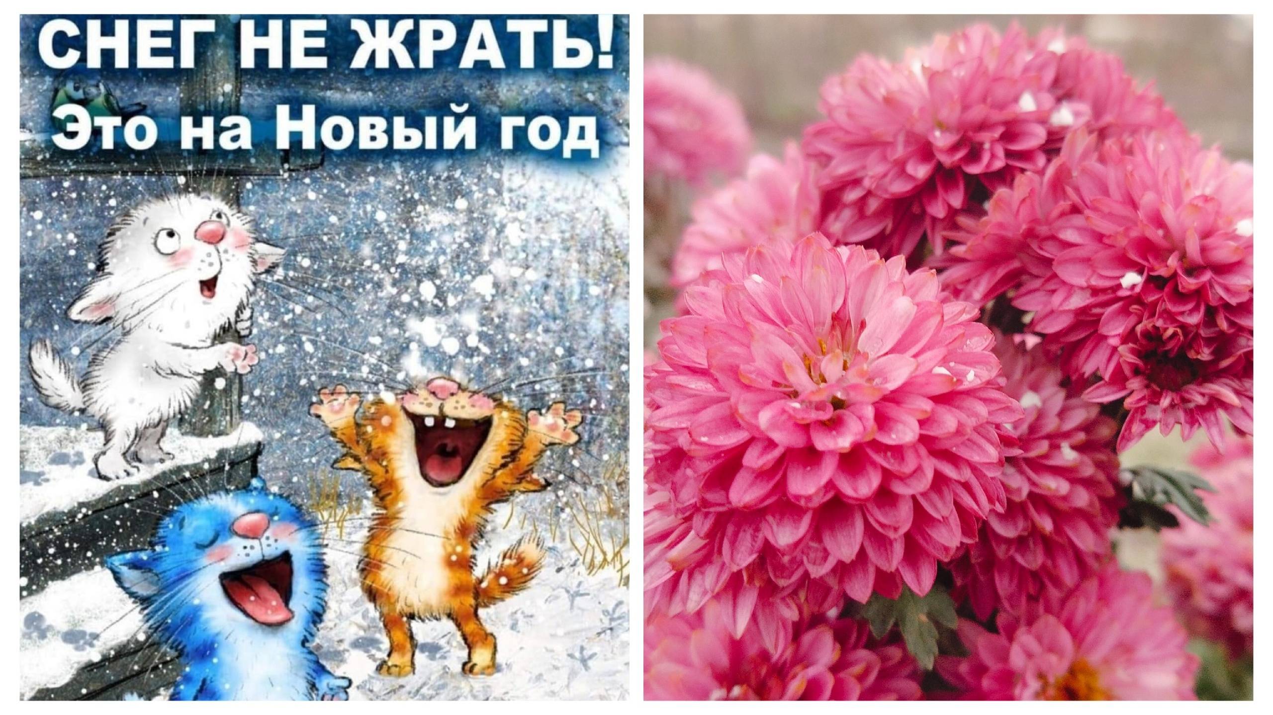 Есть ли снег на Кубани?Домашние консервы.А вы хулиганили? смотреть онлайн