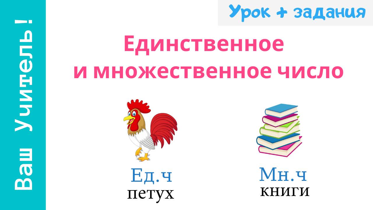 Число имен существительных. Единственное и множественное число смотреть онлайн