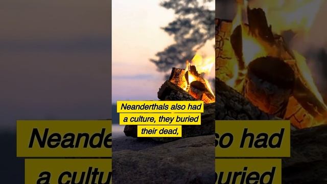 Who were the Neanderthals? A 1 Minute History! смотреть онлайн