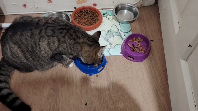 Ейск ! Вакуумирование вещей в дорогу ! Пятница 13 я разбилась лежу в травматологии ! смотреть онлайн