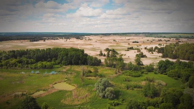 #SaveOurForests! Stop the involvement of the EU in Ukraine’s deforestation смотреть онлайн