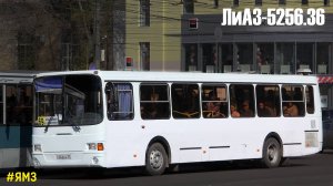 ЛиАЗ-5256.36 (ЯМЗ-6563.10 & Voith DIWA D854.3E)