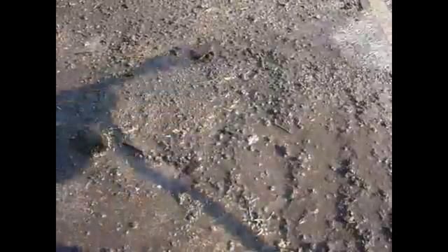 Как мы готовим тёплые гряды? смотреть онлайн