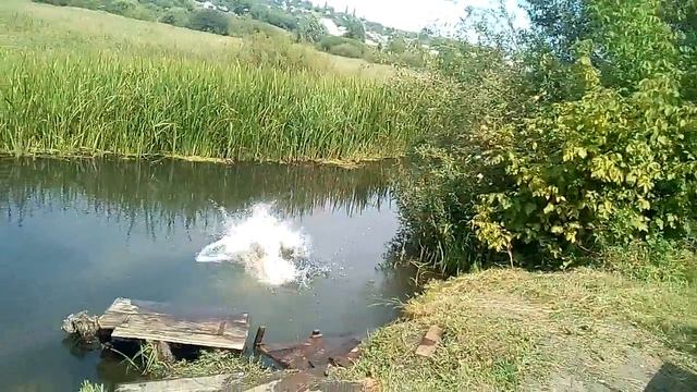 пацан прыгнул щучкой смотреть онлайн