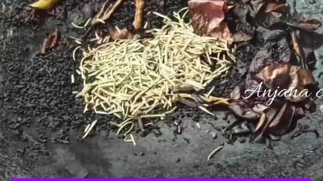 How to use amla, chukander, remedies for Grey Hair बाल काले कैसे करें /grey hair to black Hair50 ye смотреть онлайн