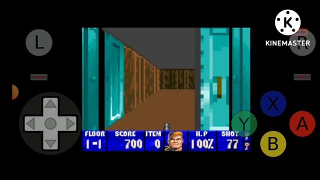 Playing Wolfenstein 3d Snes With Cheats