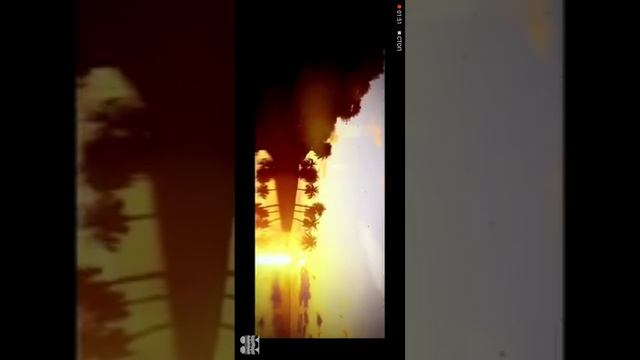 Крабы танцуют с оружием.