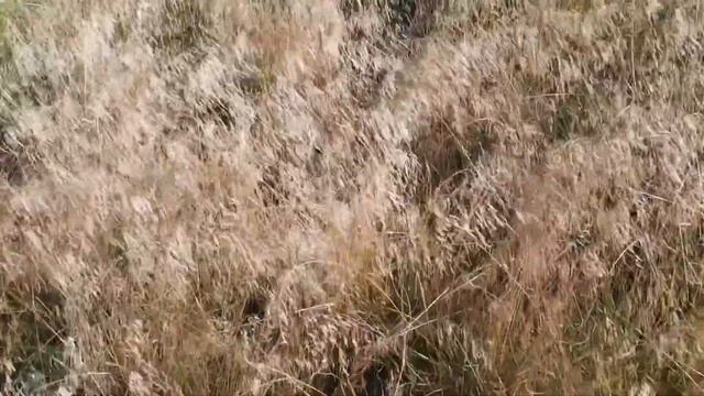 Велотрасса Красспорт смотреть онлайн