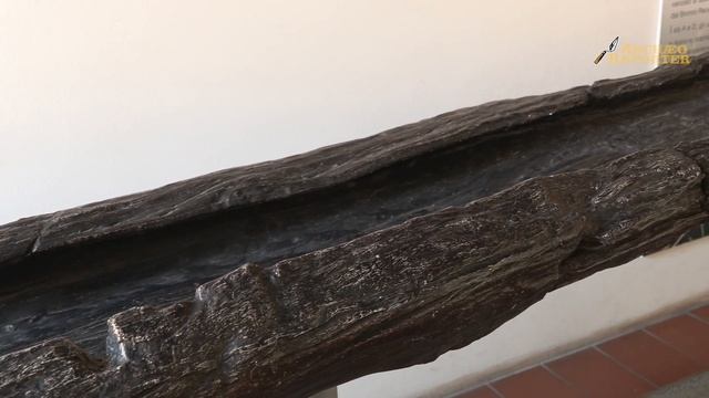 La piroga dell'età del Bronzo del Lucone di Polpenazze. Museo archeologico Valle Sabbia - Gavardo смотреть онлайн
