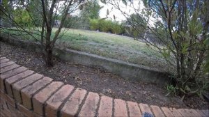 Norica Titan .177 Air Rifle FUN