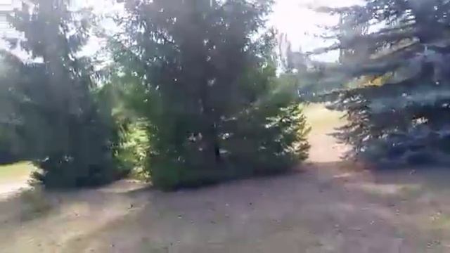 Новочебоксарск,Привокзальная площадь смотреть онлайн