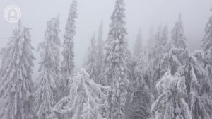 Top 50 SHAZAM⛄Лучшая Музыка 2024⛄Зарубежные песни Хиты⛄Популярные Песни Слушать Бесплатно 22